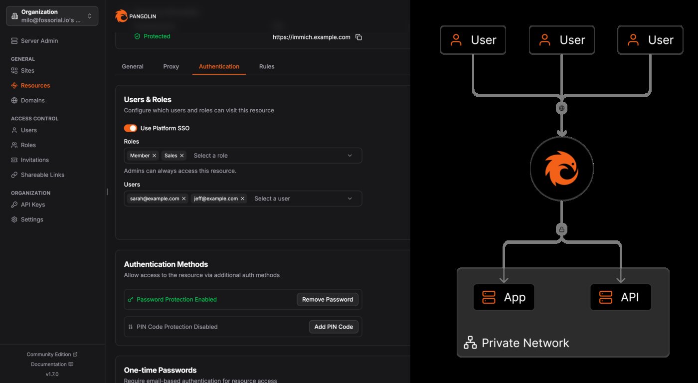 Pangolin routes tunnelled traffic from the Gerbil WireGuard endpoint through Traefik into internal resources with identity checks Pangolin authentication and routing architecture