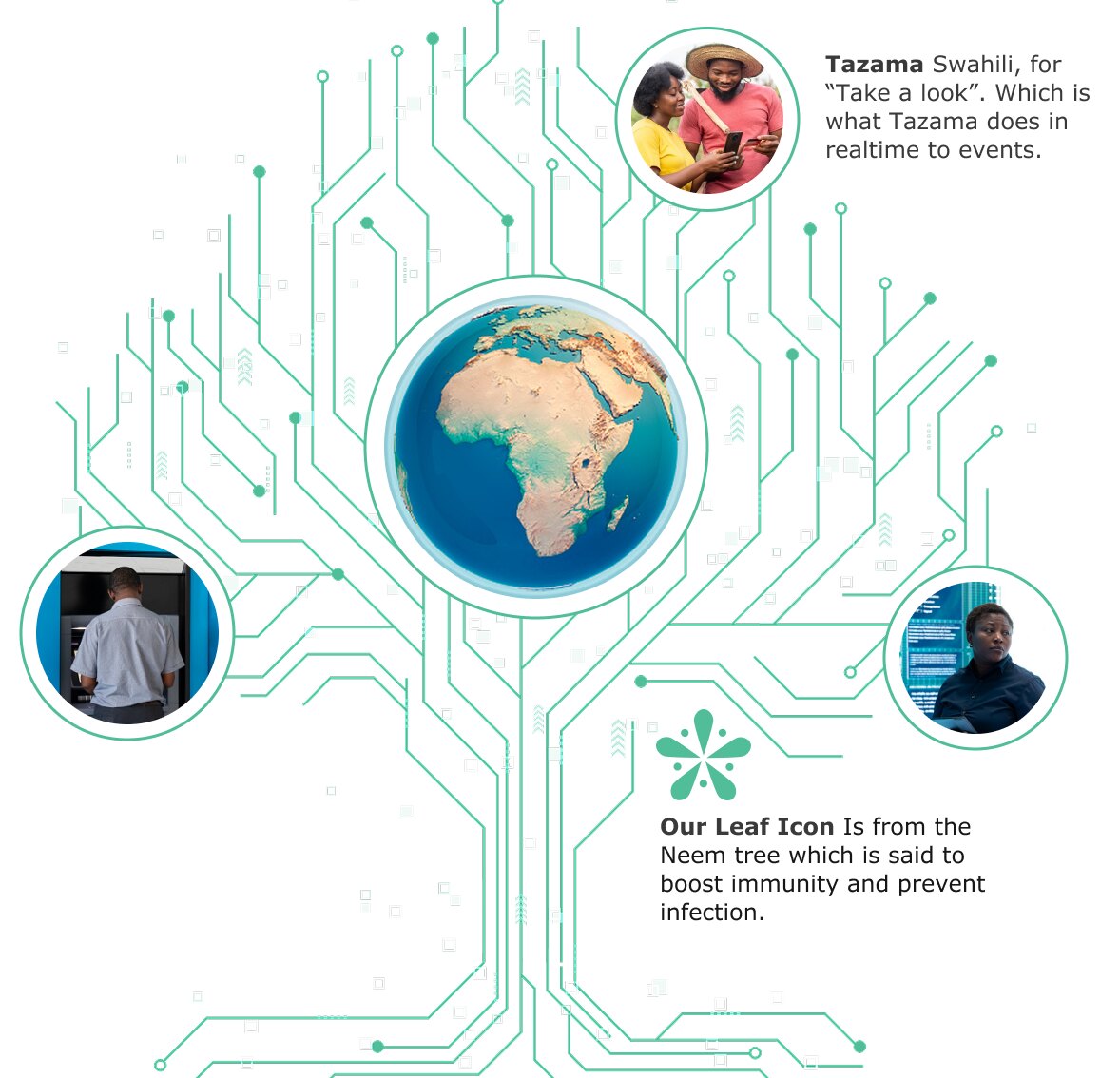 Tazama Rule Studio: authoring monitoring rules as a decision tree Tazama Rule Studio rule tree
