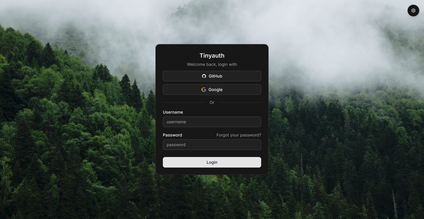 Tinyauth presents a login page before any request reaches the protected container, then forwards identity headers to the app Tinyauth login screen protecting a container behind forward authentication