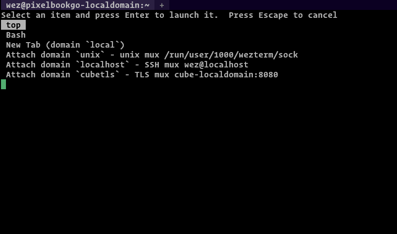 WezTerm launch menu showing recent sessions and directories WezTerm launch menu
